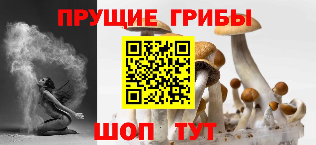 Галлюциногенные грибы Psilocybine cubensis  Псилоцибиновые грибы мицелий  Медногорск  Вход с VPN 