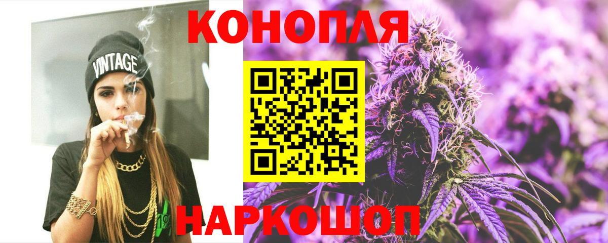 Шишки марихуана планчик  Вход с VPN  МАРИХУАНА план  Медногорск 